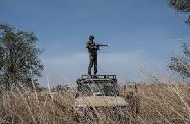 Jihadist group militants increase attacks in Nigeria-Niger-Benin borderlands