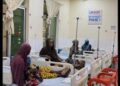 Africa Urged to Seize ‘Health Sovereignty’ After US Aid Cuts Shake System