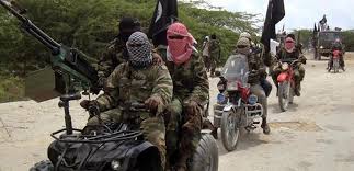 Deadly Boko Haram Raid Kills 24 Chadian Soldiers Near Lake Chad