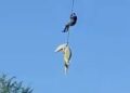 Police Captain Hailed for Daring Crocodile River Operation in South Africa