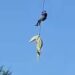 Police Captain Hailed for Daring Crocodile River Operation in South Africa